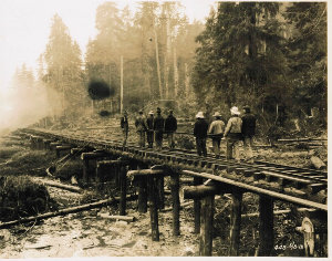 [spruce/railroad_work.jpg]